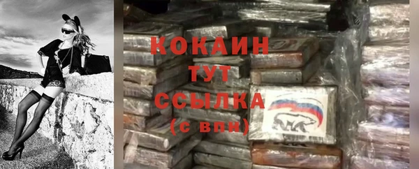 амф Абаза